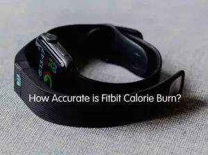 How Accurate is Fitbit Calorie Burn Count