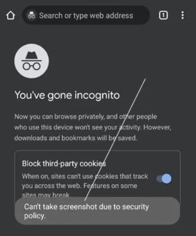 cant take screenshot due to security policy